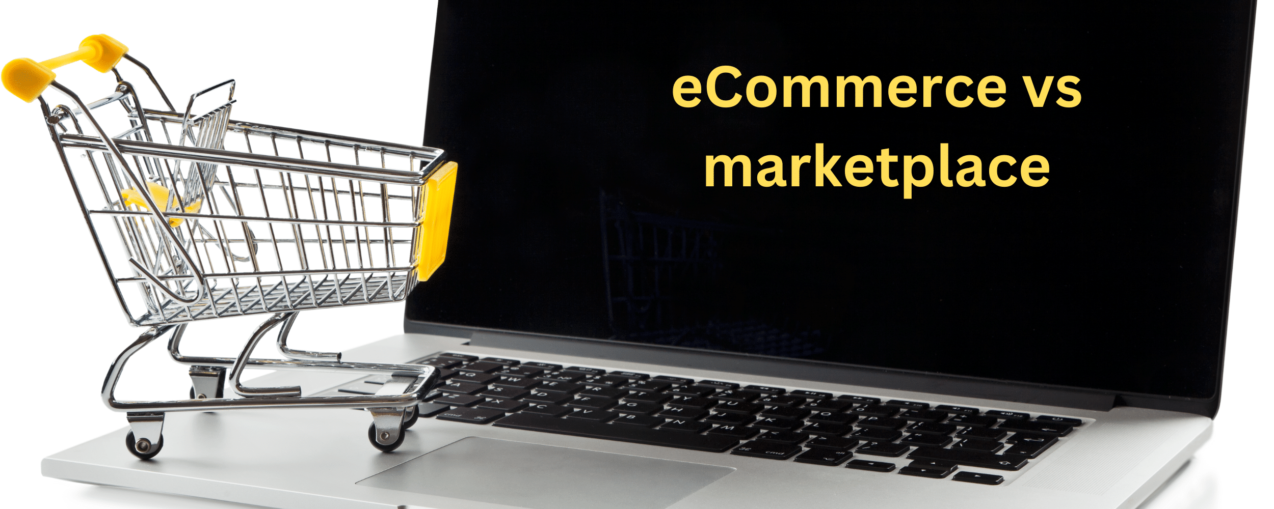 eCommerce vs marketplace
