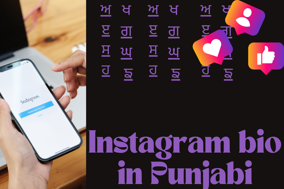 300+ Instagram Bio in Punjabi: Unleash Your Inner Artist With Us!