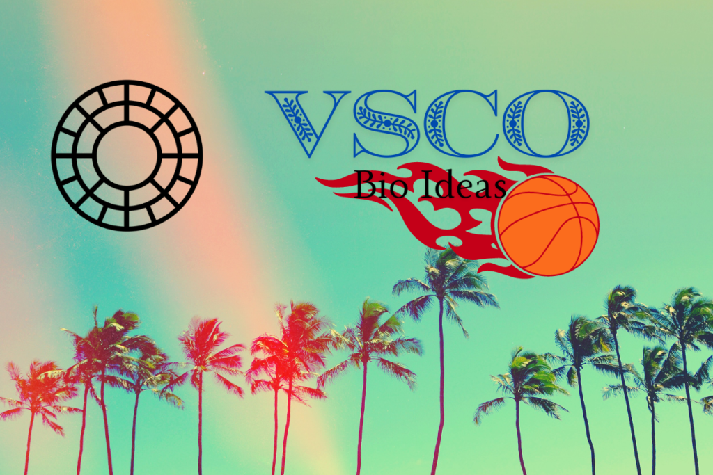 Creative VSCO Bio Ideas: How To Excel In Your VSCO Bio