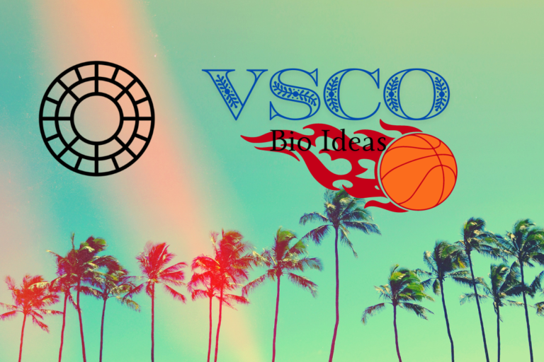 VSCO Bio Ideas: How To Excel In Your VSCO Bio